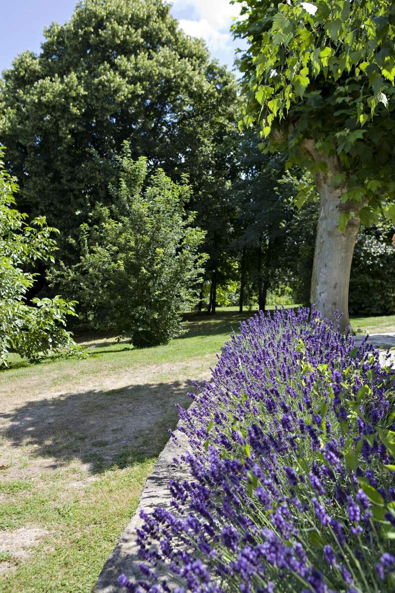The leafy park at Château Mont Joly, chateau mont-joly hotel restaurant dole jura